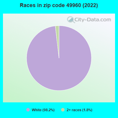 Races in zip code 49960 (2022)