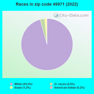 Races in zip code 49971 (2022)