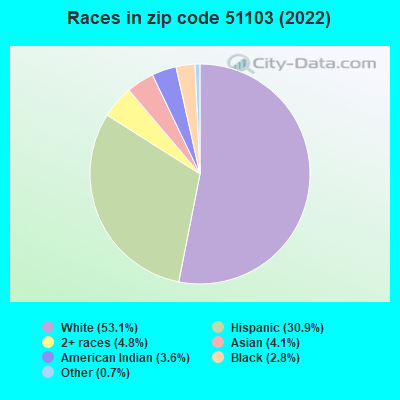 Races in zip code 51103 (2022)