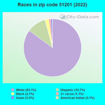 Races in zip code 51201 (2022)