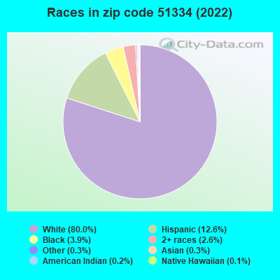 Races in zip code 51334 (2022)