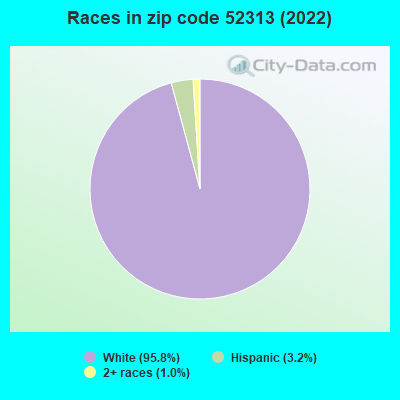 Races in zip code 52313 (2022)