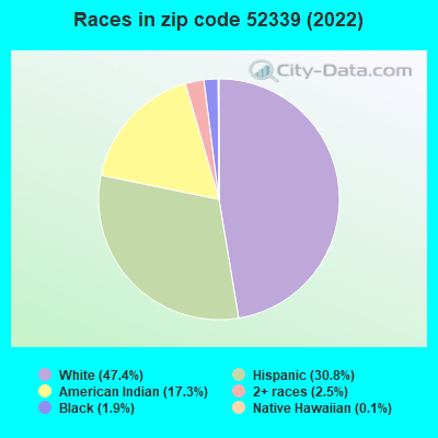 Races in zip code 52339 (2022)