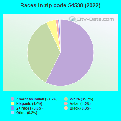 Races in zip code 54538 (2022)