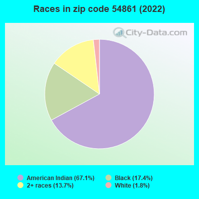 Races in zip code 54861 (2022)