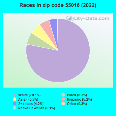 Races in zip code 55016 (2022)