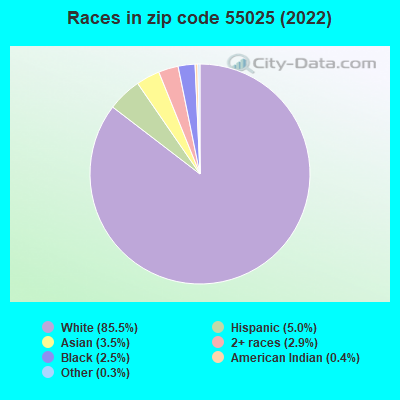 Races in zip code 55025 (2022)