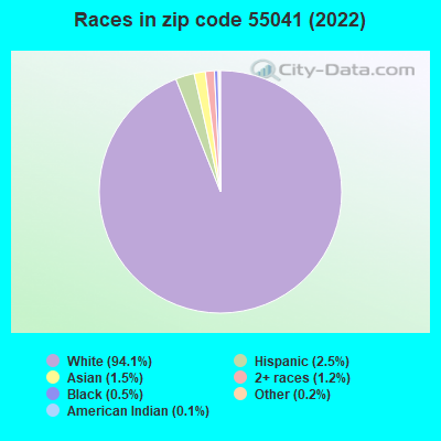 Races in zip code 55041 (2022)