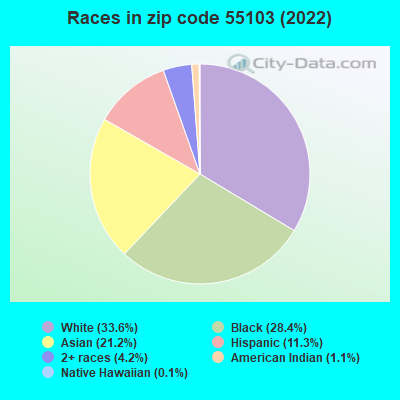 Races in zip code 55103 (2022)