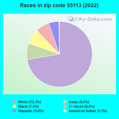Races in zip code 55113 (2022)