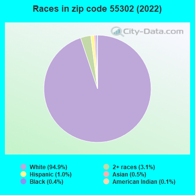 Races in zip code 55302 (2022)