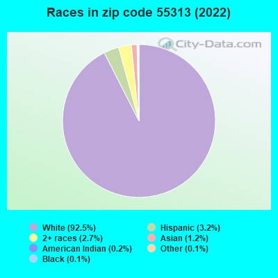 Races in zip code 55313 (2022)