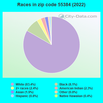 Races in zip code 55384 (2022)
