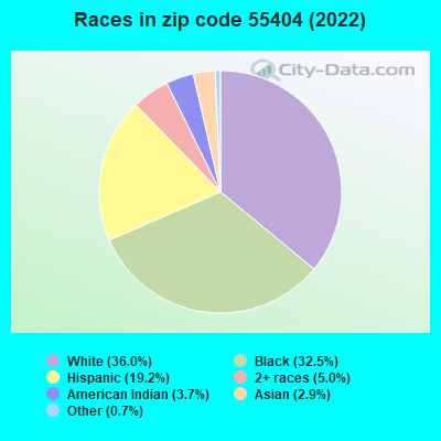 Races in zip code 55404 (2022)