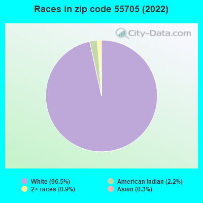 Races in zip code 55705 (2022)