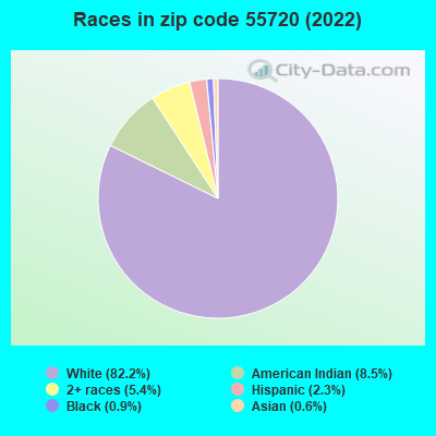 Races in zip code 55720 (2022)