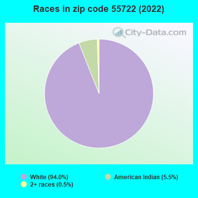 Races in zip code 55722 (2022)