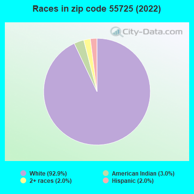 Races in zip code 55725 (2022)
