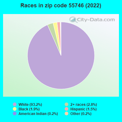 Races in zip code 55746 (2022)