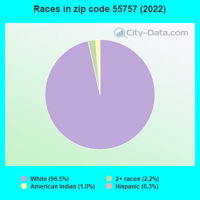 Races in zip code 55757 (2022)