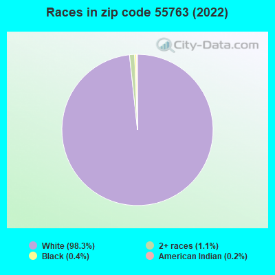 Races in zip code 55763 (2022)