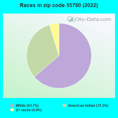 Races in zip code 55780 (2022)