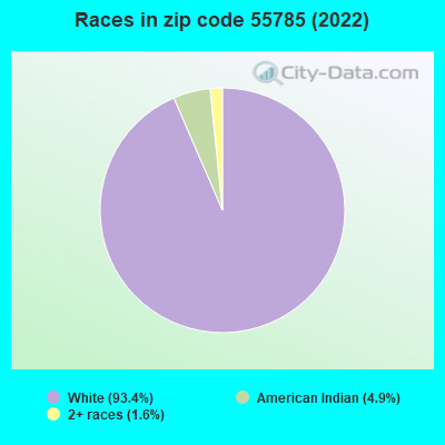 Races in zip code 55785 (2022)