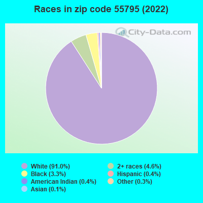 Races in zip code 55795 (2022)