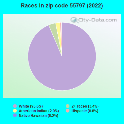 Races in zip code 55797 (2022)