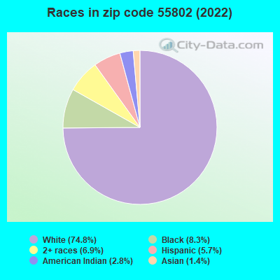 Races in zip code 55802 (2022)