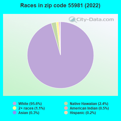 Races in zip code 55981 (2022)