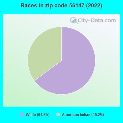 Races in zip code 56147 (2022)