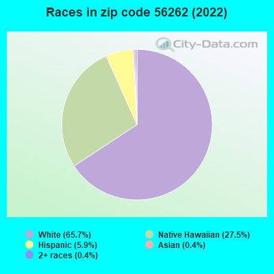 Races in zip code 56262 (2022)