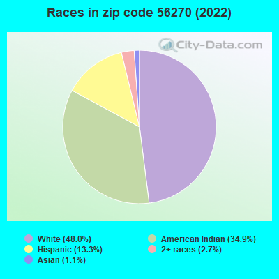 Races in zip code 56270 (2022)