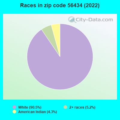 Races in zip code 56434 (2022)