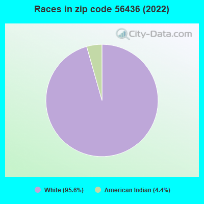 Races in zip code 56436 (2022)