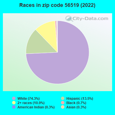 Races in zip code 56519 (2022)