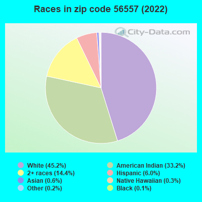 Races in zip code 56557 (2022)