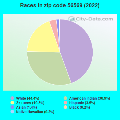 Races in zip code 56569 (2022)