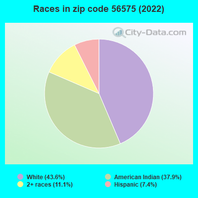 Races in zip code 56575 (2022)