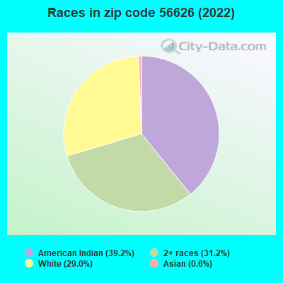 Races in zip code 56626 (2022)