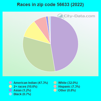 Races in zip code 56633 (2022)