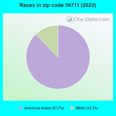 Races in zip code 56711 (2022)