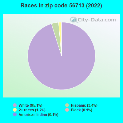 Races in zip code 56713 (2022)