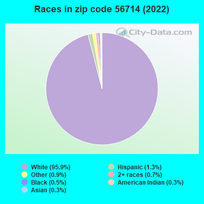 Races in zip code 56714 (2022)