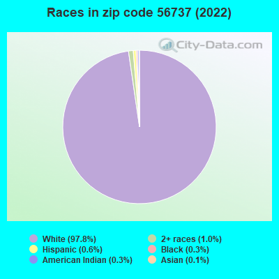 Races in zip code 56737 (2022)