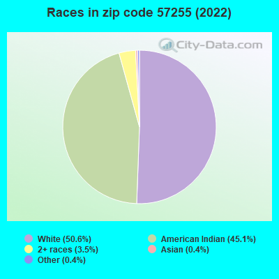 Races in zip code 57255 (2022)
