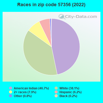 Races in zip code 57356 (2022)
