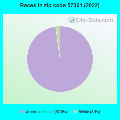 Races in zip code 57361 (2022)