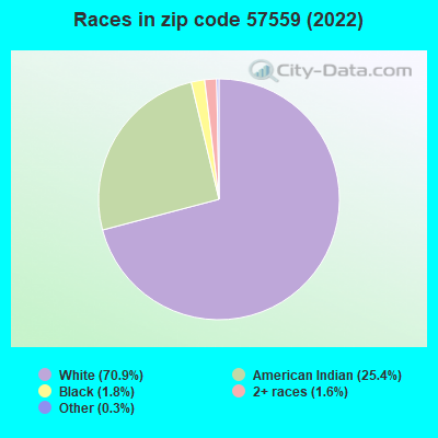 Races in zip code 57559 (2022)